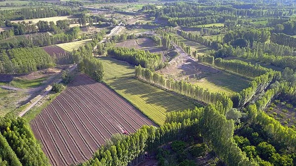 Hazine arazisi konutlar ne zaman teslim edilecek?