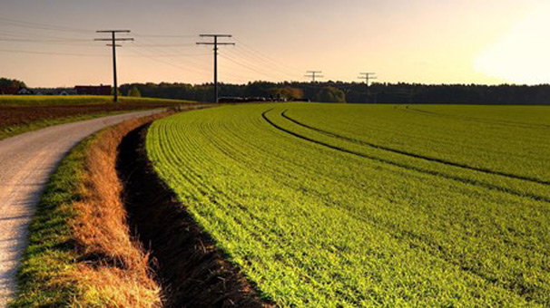 Hazineye ait tarım arazilerine yoğun ilgi