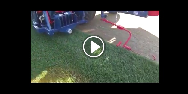 Hazır çim nasıl yapılıyor?