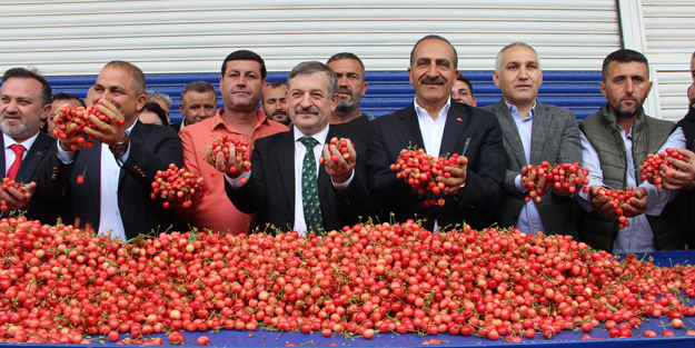 Hazır seçim de varken bu fırsat kaçmaz! Sözcü'ye 10 numara kiraz haberi