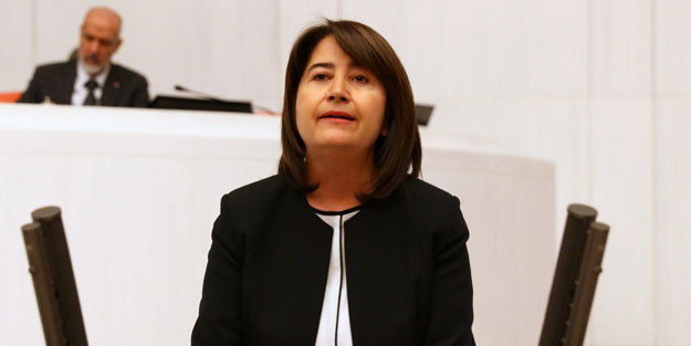 HDPKK'lı Pekgözegü'den TBMM'de skandal sözler