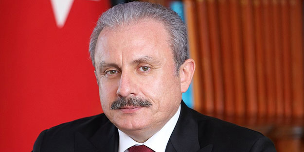 HDPKK'lı vekil, Şentop'u çileden çıkardı