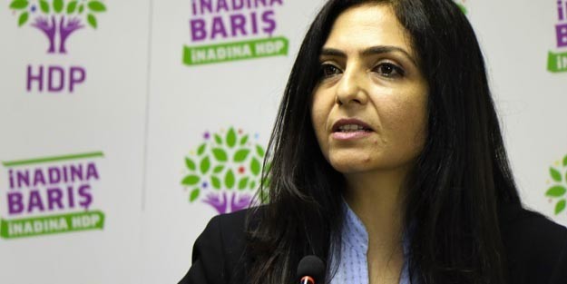 HDP’li başkan ve Meclis üyelerine soruşturma
