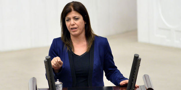 HDP'li Beştaş saçmaladı, TBMM karıştı!