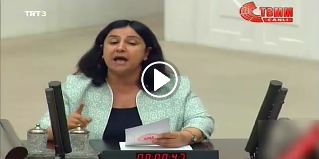 HDP'li Çağlar Demirel'e tokat gibi cevap