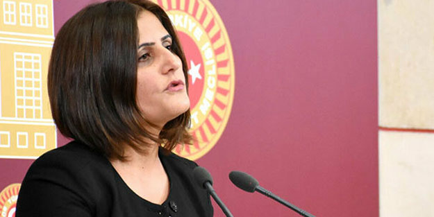 TBMM'de inanılması güç ifadeler! TSK'ya 