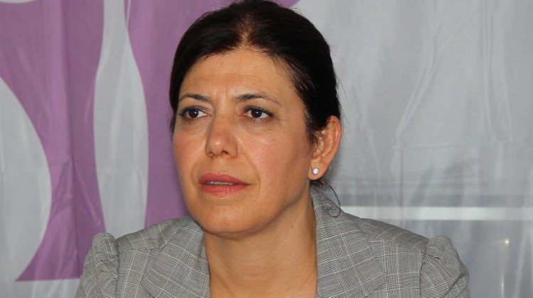 HDP'li Meral Danış Beştaş yargılanmaya başlandı