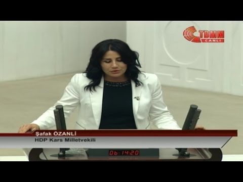 HDP'li milletvekili PKK'ya erzak mı götürdü?