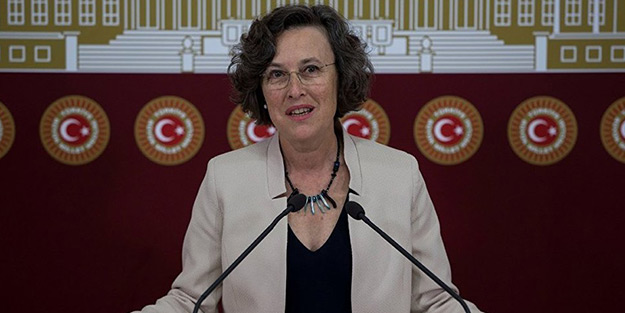 HDP'li vekil Çankaya'dan aday oldu