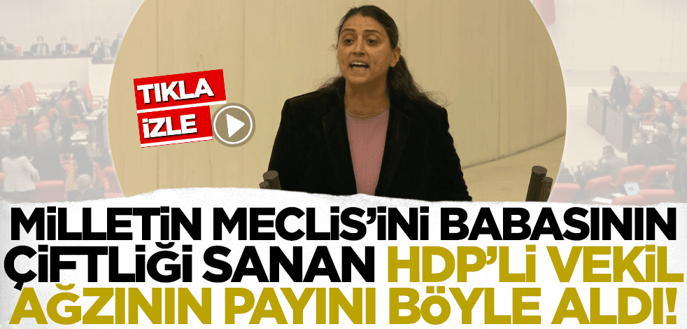 HDP'li vekil milletin Meclis'ini babasının çiftliği sandı TBMM Başkanvekili ağzının payını verdi!