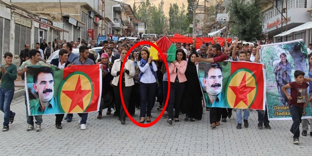 HDP'li vekil PKK'lı teröristin tabutunu taşıdı!