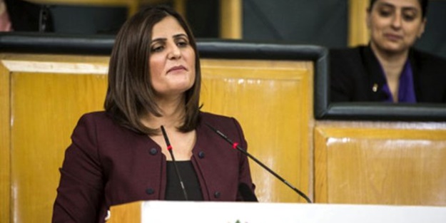 HDP'li vekilden küstah açıklama! Mecliste eli kanlı teröristleri savundu