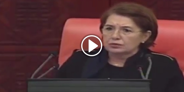 HDP'li vekile tarihi ayar