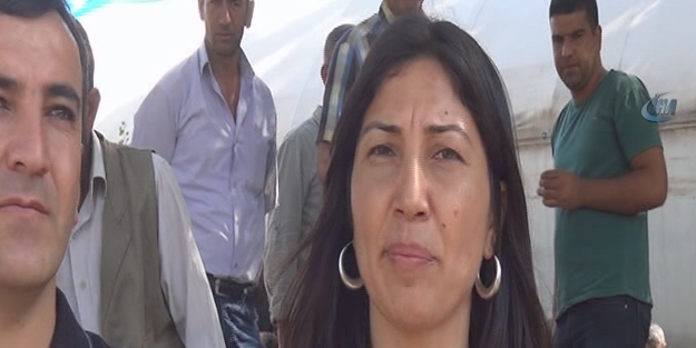 HDP'li vekiller Cudi Dağı'na çıktı