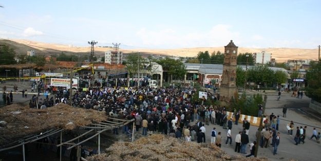 HDP mitingte sinek avladı