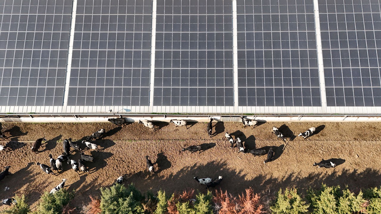 Hedef yüzde 100! Bu çiftliğin enerjisinin yüzde 75'i ücretsiz