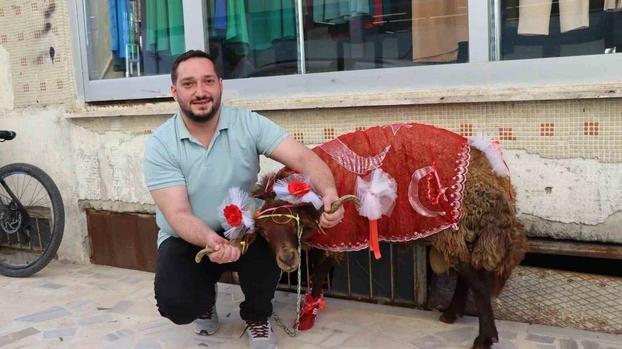 Hediyenin böylesi... Erzurumlu damattan nişanlısına kurbanlık koç jesti