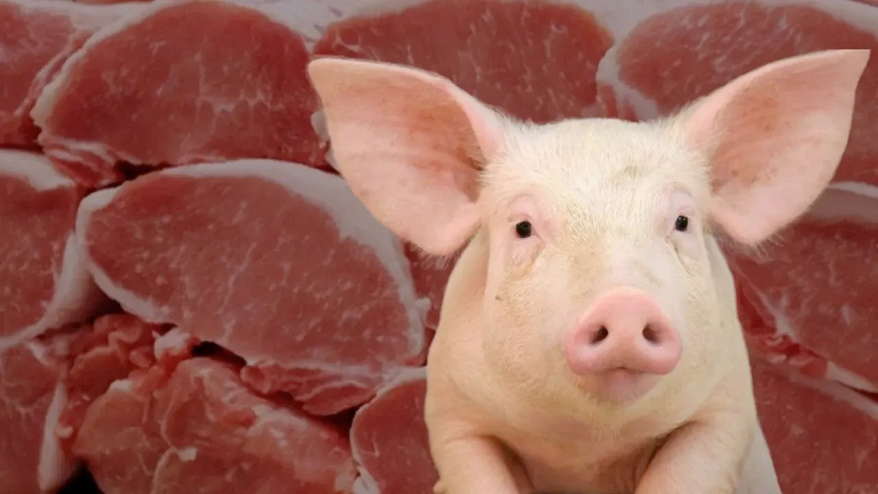 Gurbetçiye yeni şok, sucukta domuz eti alarmı! Müslüman tüketiciler dikkat!