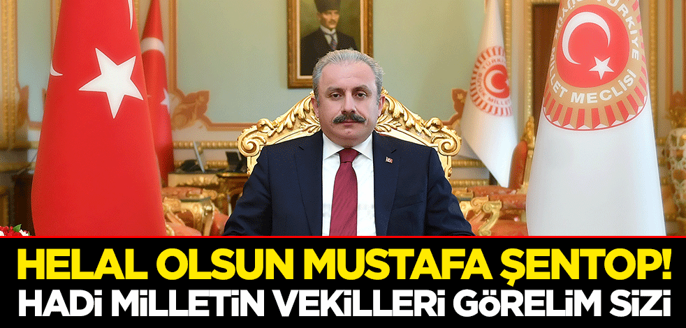 Helal olsun Mustafa Şentop! Hadi milletin vekilleri görelim sizi