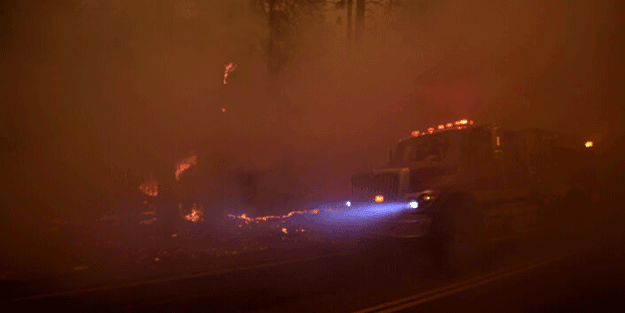 'Help Turkey' etiketi açan beslemeler ABD yangınında kayboldu