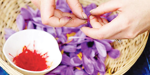 Hem 12 gramı öldürür, hem şifa vesilesi, hem de çok pahalı