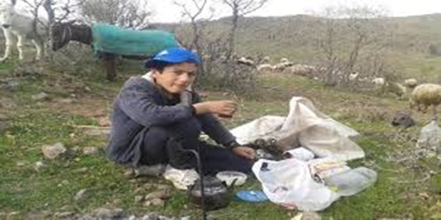 Hem çobanlık yaptı hem TEOG birincisi oldu...