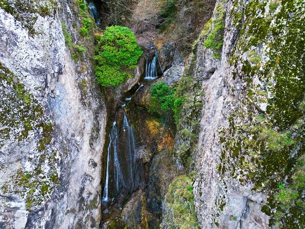 Hem ismi hem konumuyla dikkat çekiyor