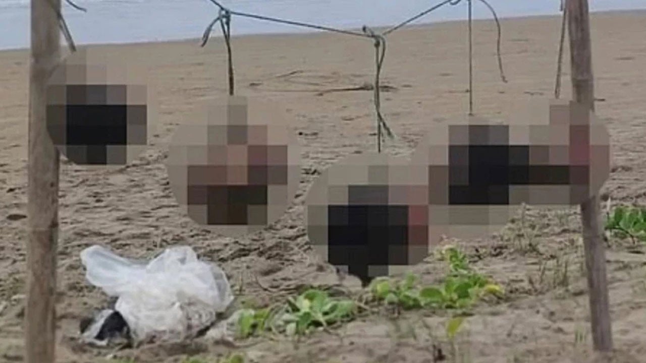 Hem kafa hem racon kestiler! Beş kesik insan kafası ile haraç dehşeti