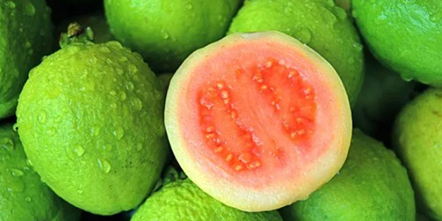 Hem kansere karşı koruyor hem de çocuk sahibi yapıyor!