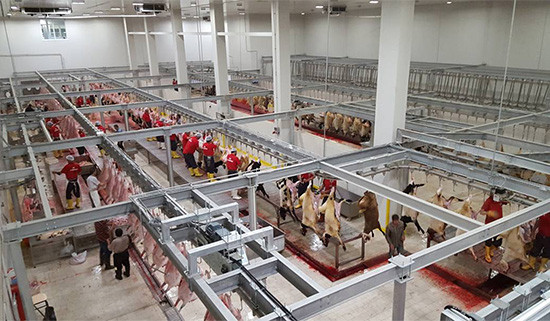 Hemen herkesin evine girmişti! Türkiye'nin 74 yıllık et devi iflas bayrağını çekti