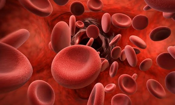 Hemofili nedir? Hemofili belirtileri nelerdir?