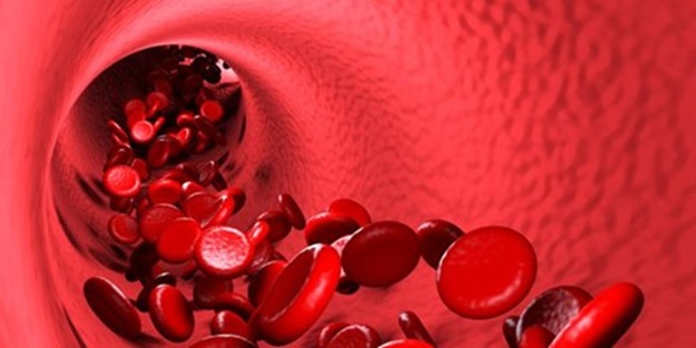 Hemofili nedir ve belirtileri nelerdir?