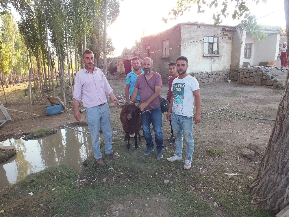 Hemşehrileri için kurban kesti 