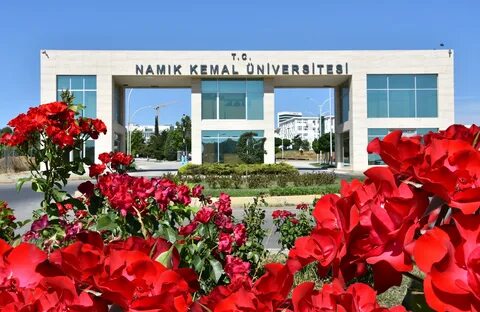 Hemşire alınacak
