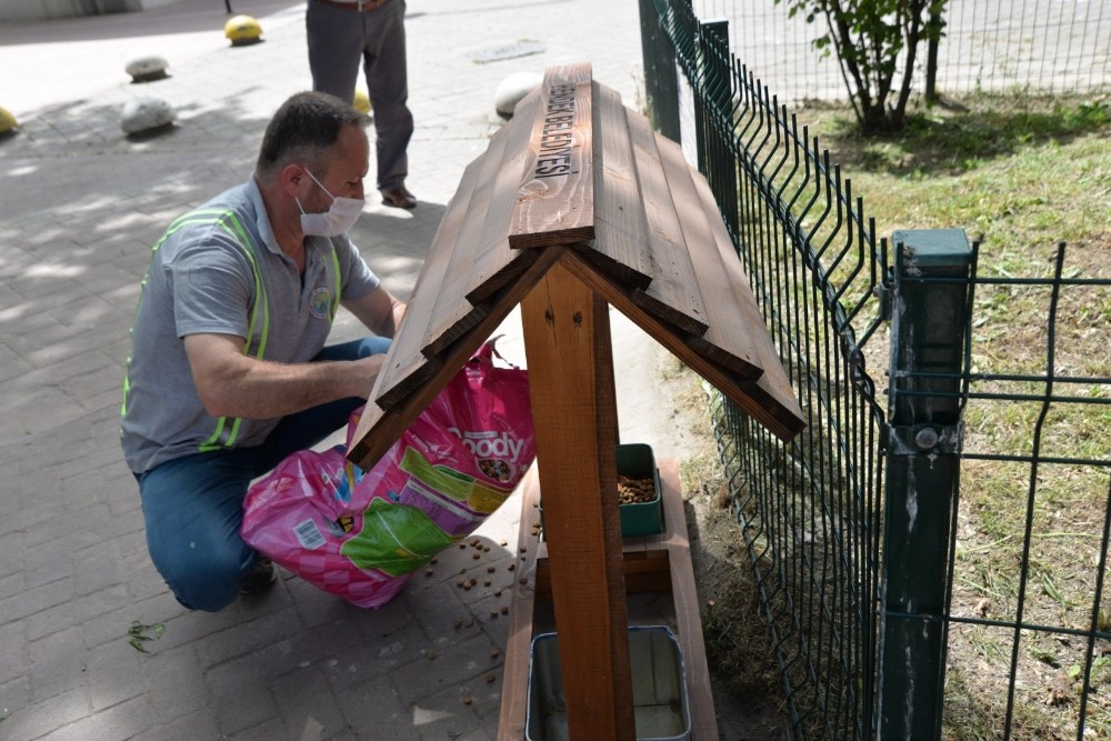 Hendek’te mama evleri projesi hayata geçirildi 