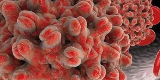 Hepatit B ve C karaciğer kanseri için risk oluşturuyor