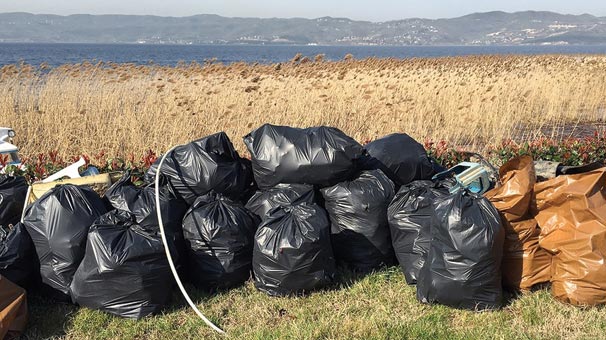 Hepsi Sapanca Gölü'nden çıktı! Rakam 300'ü buldu