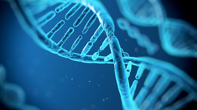 Her bir hücremiz kopyalanmamız için yeterli