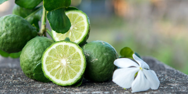 Her derde deva! Bergamotun 10 faydası