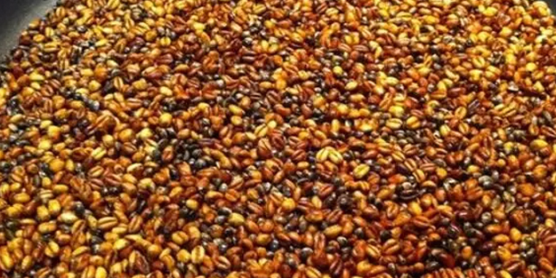 Her derde deva: kavurga, çıtır çıtır! Öyle bir şey ki, çok büyük faydası var! Bu yöntem ile böyle yapılıyor