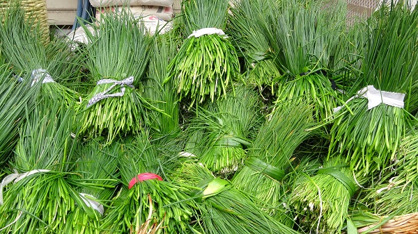 Her derde deva! Mevsimi geldi kapış kapış satılıyor