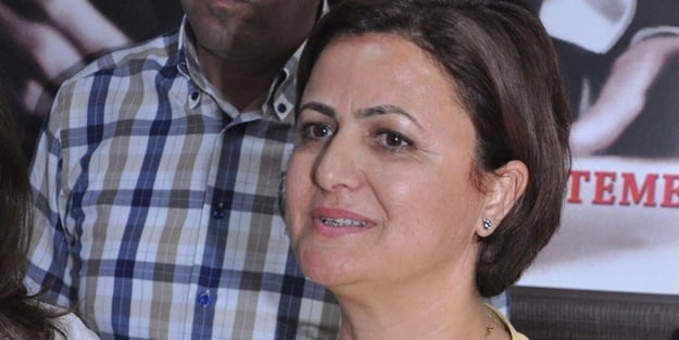 Her fırsatta Türkiye'yi şikayet etmiş! Böyle hukukçu olur mu?
