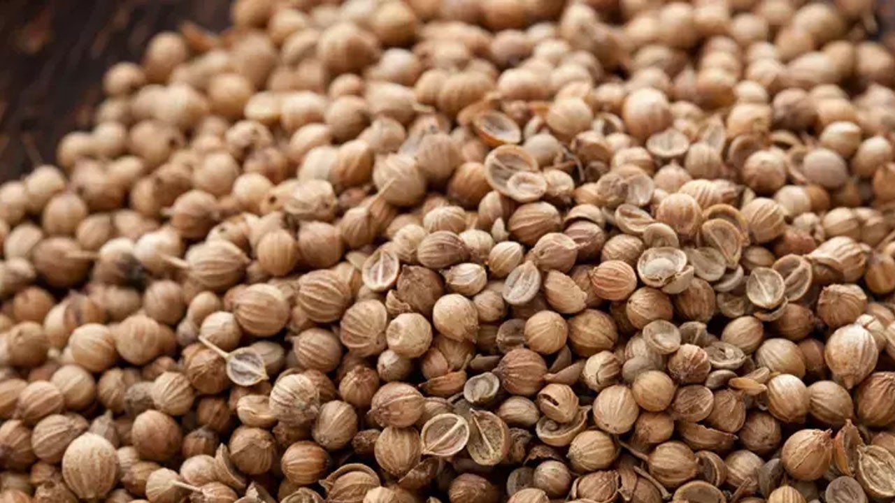 Her gramında şifa var: Bu baharatları sofranızın baştacı yapın: Kalp krizi için en iyi güç kaynağı oluyor!