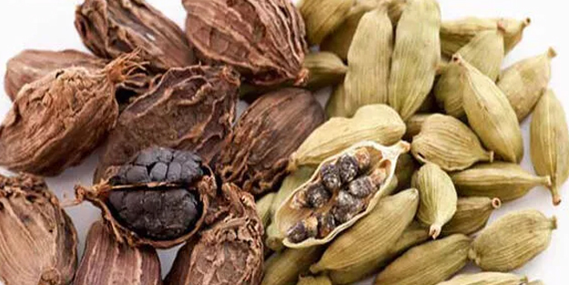 Her gramında şifa var: Bu baharatları sofranızın baştacı yapın! Uzman isim açıkladı: İnanılmaz analizi