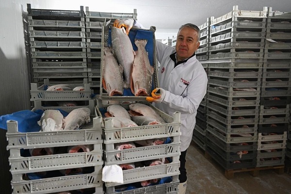 Her gün 60 ton işleniyor