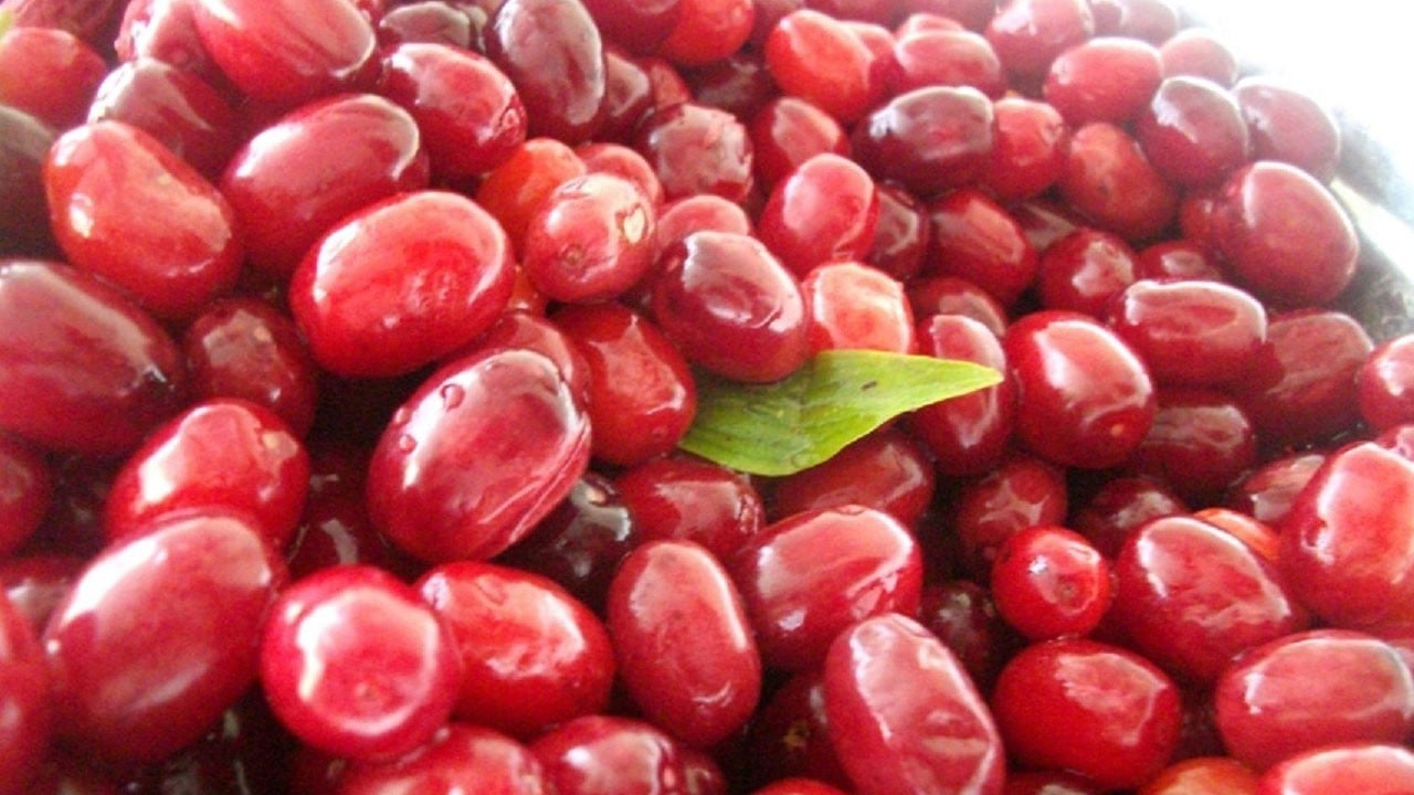 Her gün bir avuç tüketin! Grip ve soğuk algınlığına karşı doğal kalkan