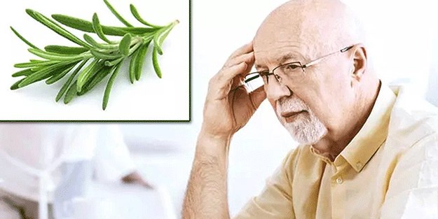 Her gün bu bitkiyi koklayanların beyni Einstein'la yarışıyor! Bilim insanları resmen duyurdu