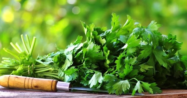 Her gün kişniş tüketmek için onlarca sebebiniz var!