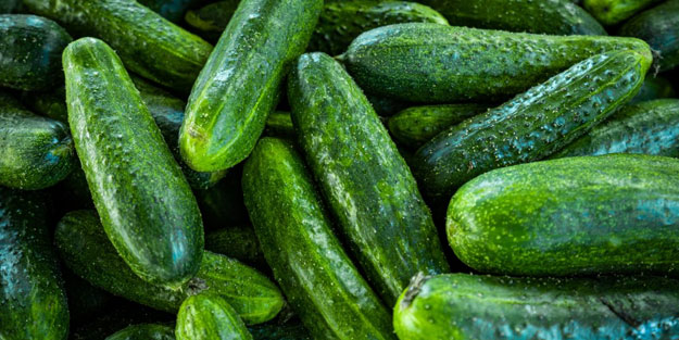 Her gün salatalık yemek için 10 sebep! Kanser ve diyabete karşı koruyor