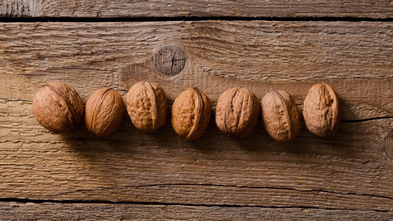 Her gün yiyin! Ceviz unutkanlığa son veriyor!
